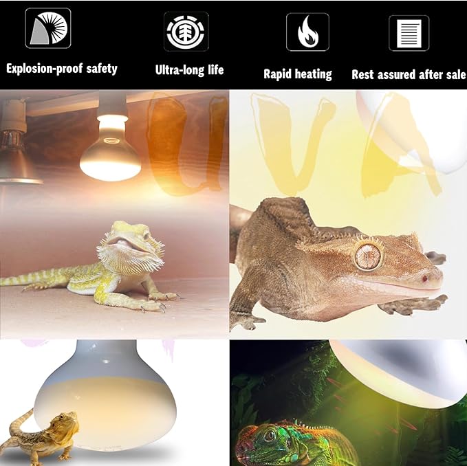 Reptile Heat Lamp Used in Reptiles 75W 100W Heat Lamp Bulbs for Reptiles 2 Pack Amphibians Basking Heat Lamp Bulbs UVA Daylight Basking Light (75Watts)