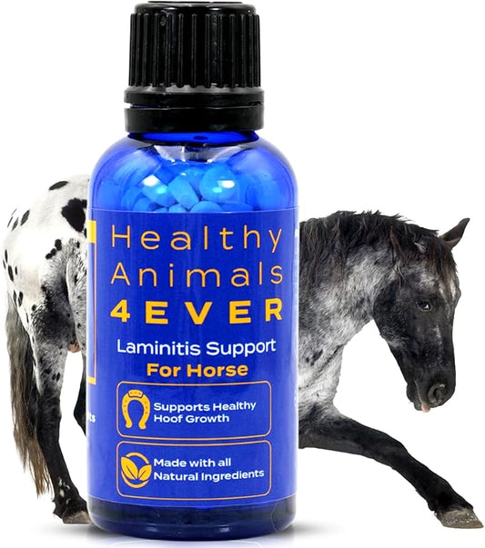 HealthyAnimals4Ever HA4E - Horse Laminitis Support - Hoof Care for Damaged & Injured Hooves - Highly Effective, Natural Homeopathic Supplement - Pellets, Barn Size