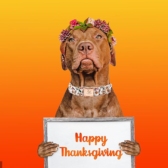 Elegant little tail Thanksgiving Dog Collar, Fall Turkey Print Pet Collar Durable Dog Collars Male or Female Holiday Pet Gift Adjustable Dog Collar for X-Large Dogs