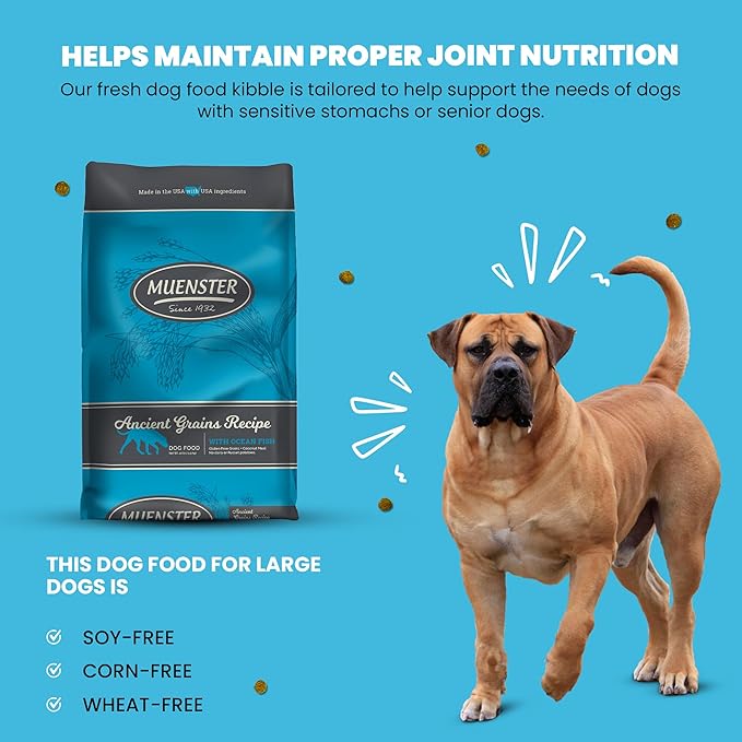 Muenster Ancient Grains Ocean Fish Dry Dog Food, 22lb - Gluten-Free, High Protein, Digestive Support