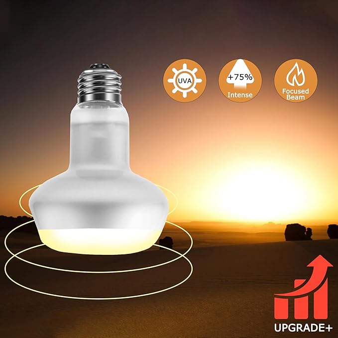 75W Intense Basking Spot Lamp – UVA Daylight Heat Bulb for Reptiles, Simulates Natural Sunrise and Sunset, Enhances Natural Behavior, Suitable for Bearded Dragons, Turtles, Geckos | 2 Pack