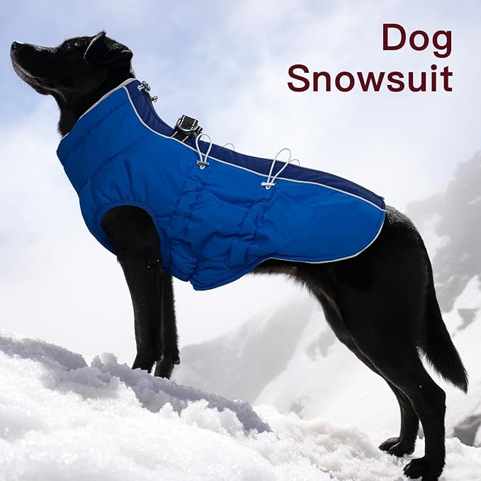 Small Dog Coat - Winter Jacket, Warm Zip Up Snowsuit, Reflective, Water-Resistant, Royal-Blue