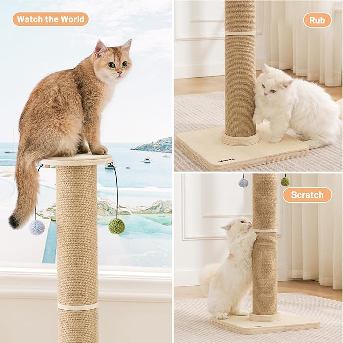 35'' Cat Scratching Post for Indoor Cats Adults, Tall Scratching Posts with Thicken Wooden Base, Sisal Scratcher Top & Removable Dangling Balls, Super Sturdy for Large Big Cat