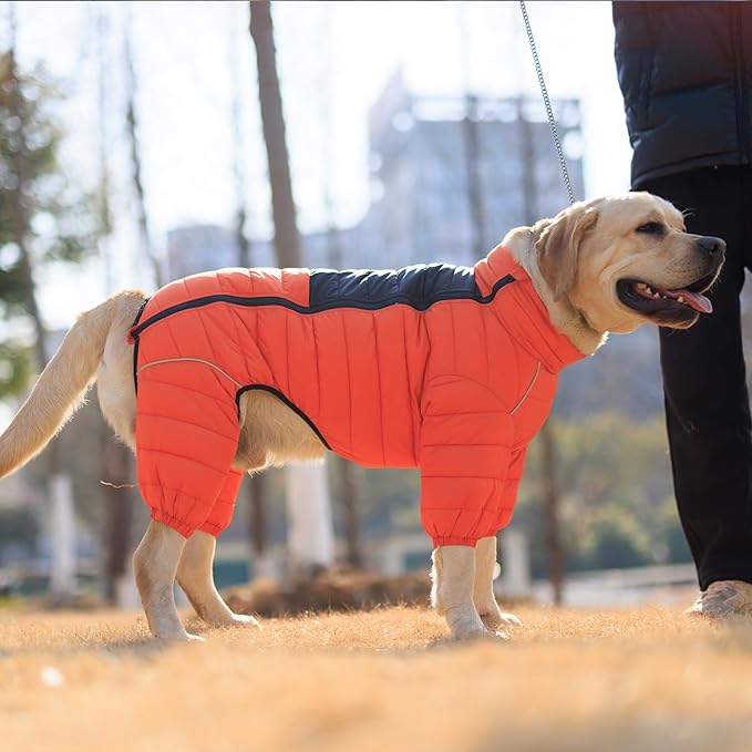 Lovelonglong Warm Jacket - 4 Legs Covered Waterproof Windproof Reflective Vest, Zippered Adjustable Outdoor Snow Jacket for Small Medium Large Dogs, Orange XL