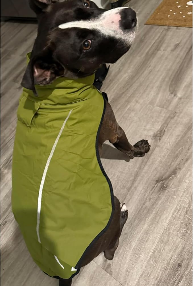 Mile High Life Dog Raincoat, Adjustable Waterproof Reflective Rain Jacket for Small Medium Large Dogs, Lightweight Breathable Pet Rain Coat with Leash Hole(Lime Yellow,M Chest 26-32")