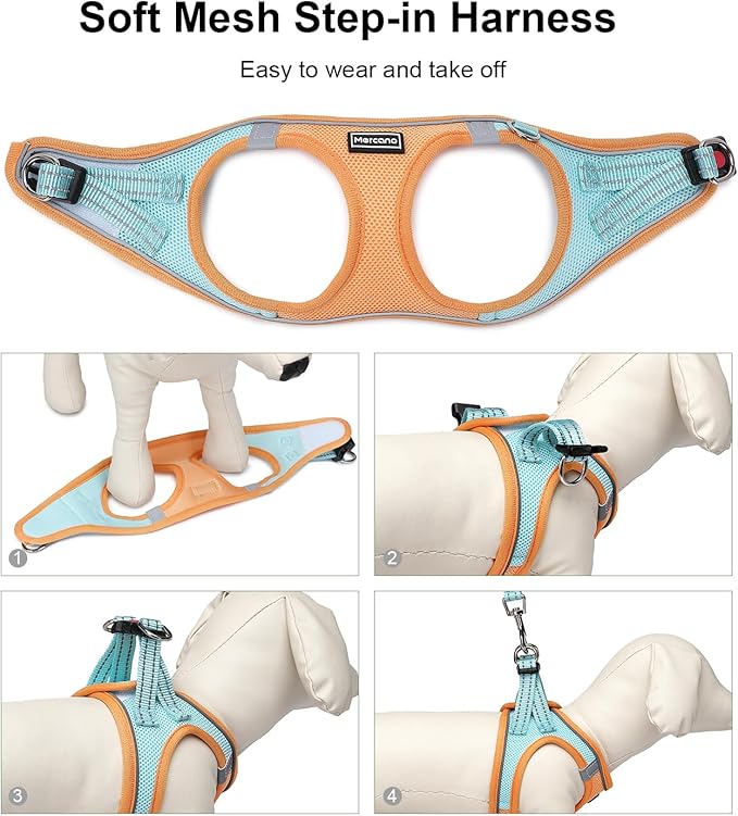 Mercano Soft Mesh Dog Harness and Leash Set, No-Chock Step-in Reflective Breathable Lightweight Easy Walk Vest Harnesses with Safety Buckle for Small Dogs, Cats (XXS, Orange Blue)