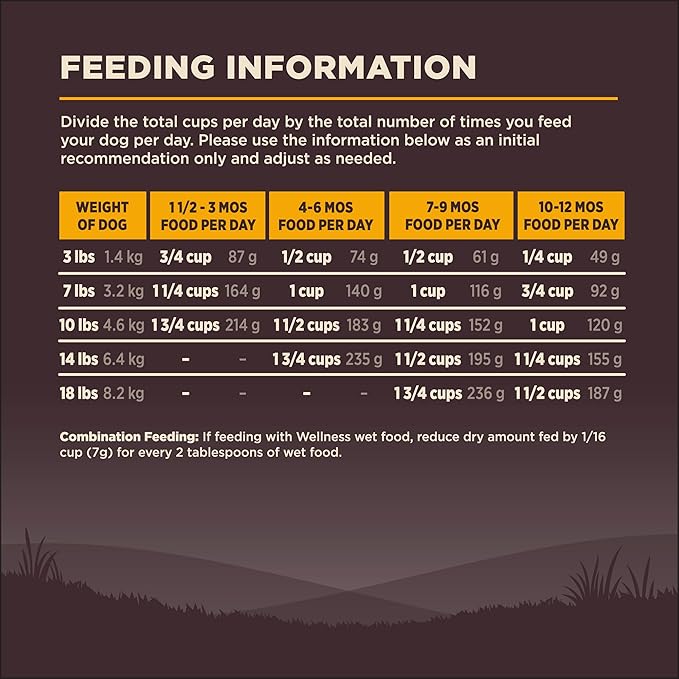 Wellness CORE Grain-Free High-Protein Small Breed Dry Dog Food, Natural Ingredients, Made in USA with Real Meat (Puppy, Turkey, 4-Pound Bag)