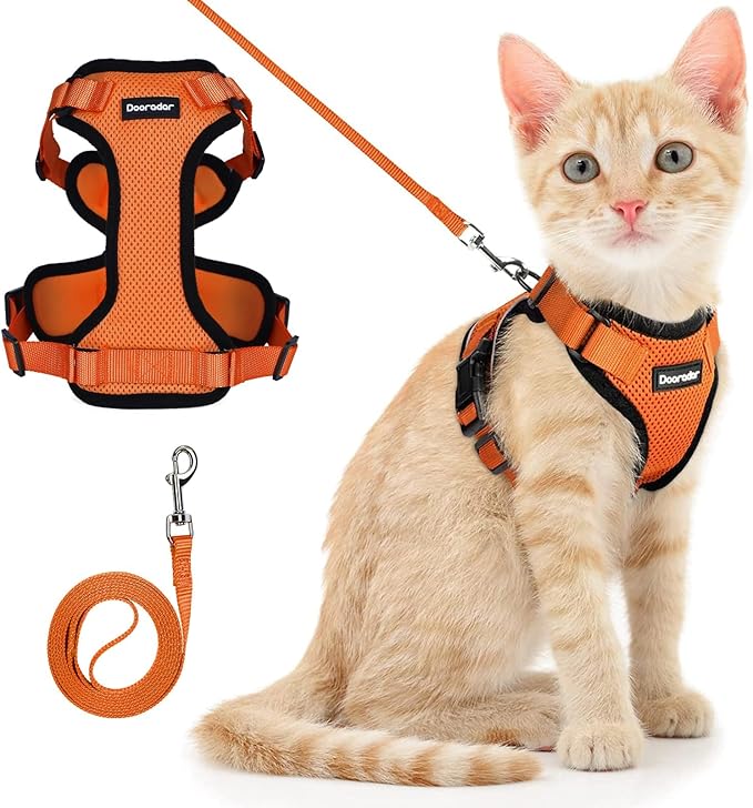 Dooradar Cat Harness and Leash Set, Escape Proof Safe Adjustable Kitten Vest Harnesses for Walking, Easy Control Soft Breathable Mesh Jacket with Reflective Strips for Cats, Orange, XS
