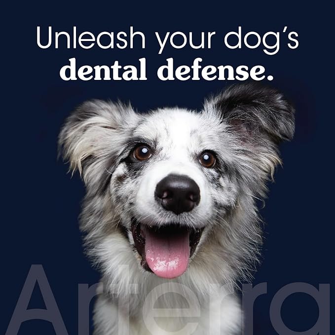 Remineralizing Dog Toothpaste – Vet-Grade, with Nano-Hydroxyapatite, Reverses Early-Stage Decay, Cleans Teeth, Reduces Tartar, Freshens Breath by Arterra Pet Science, Plant-Based, Natural Flavor, 4oz