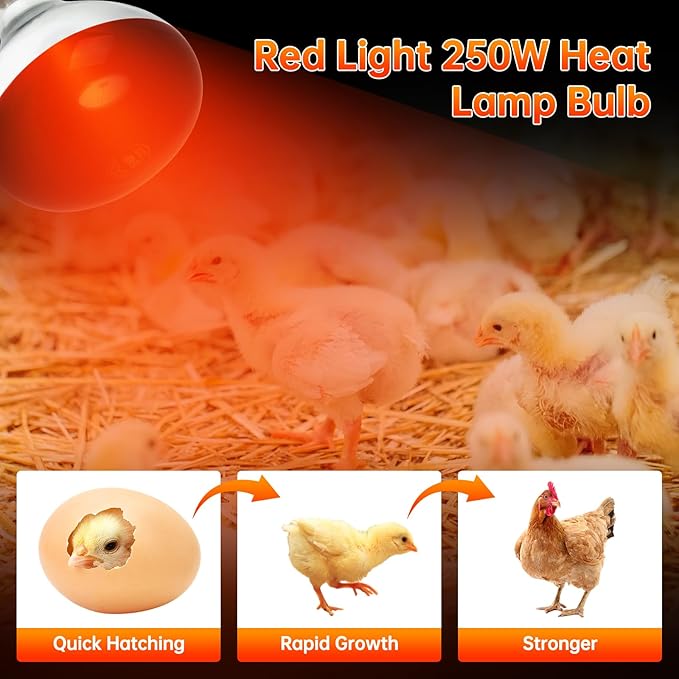 LUCKY HERP Heat Lamp for Chickens, 250 Watt Red Heat Lamp Bulbs, Infrared Heat Lamp for Chickens, Chicks, Reptile, Pets, Brooder Coop, Poultry (1 Pack)