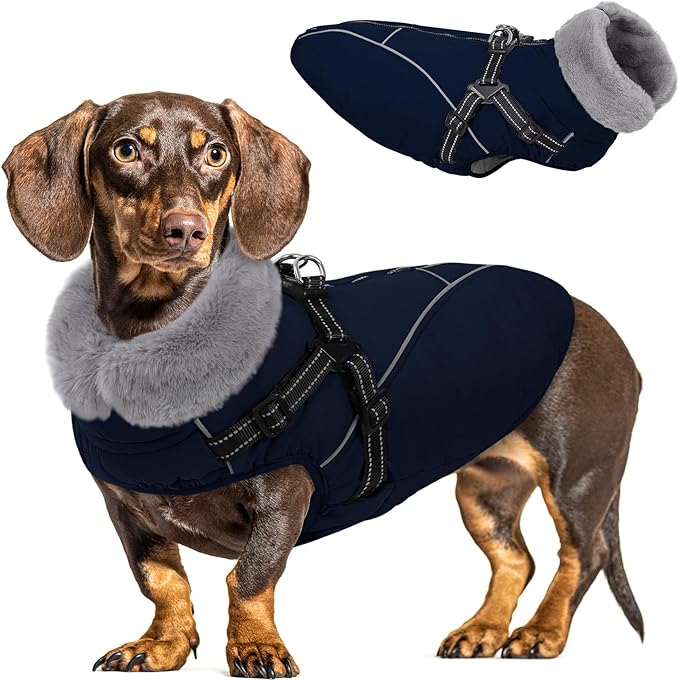 Queenmore Windproof Dog Coat for Medium Dogs,Dog Winter Jackets with Harness Built in,Waterproof Dogs Snowsuits with Zipper,Reflective Cold Weather Coats for Dachshund，Boston Terrier,Pug,Navy Blue,M