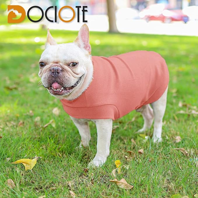 Small Dogs Fleece Dog Sweatshirt - Cold Weather Hoodies Spring Soft Vest Thickening Warm Cat Sweater Puppy Clothes Sweater Winter Sweatshirt Pet Pajamas for Small Dog Cat Puppy (Large, Red)