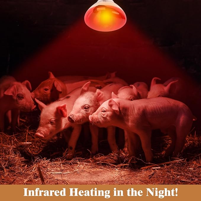 250W Red Heat Lamp Bulbs for Chicken, 2Pack Infrared Heat Lamp for Coop Brooder, Heat Lamps for Chicks, Reptile, Amphibian, Pets