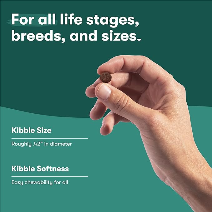 Jinx Premium Grain-Free Dry Dog Food, for All Lifestages - Real Chicken, Sweet Potato & Carrot Kibble with Superfoods for Immune Support & Probiotics for Digestive Support - No Fillers - 4lb