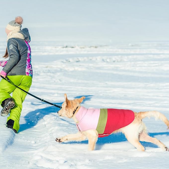 ASENKU Dog Jacket Plaid Reversible Reversible Dog Vest Waterproof Cold Winter Clothes Pet Apparel for Small Medium Large Dogs (3XL, Colorful)