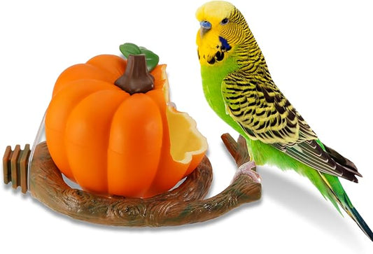 Bird Feeder Bowl for Small Size Birds Budgies Cockatiels Lovebirds Canaries