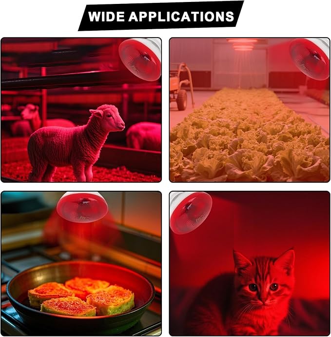 Aiicioo Infrared Heat Lamp Bulb 250W Red Infrared Heat Bulb for Chickens Reptile Heat Light Bulb for Brooder Coop Chicks Pet Reptile Amphibians Par38 Glass E26 Base