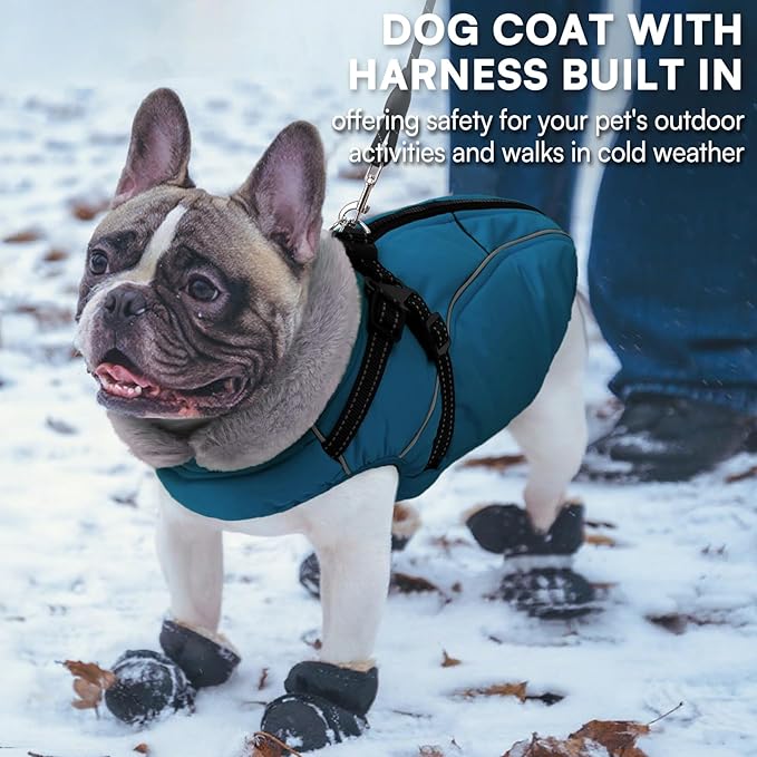 Queenmore Waterproof Dog Coat for Small Dogs,Reflective Windproof Dog Jackets with Built-in Harness,Dog Winter Coats with Zipper On Back,Warm Snowsuit with Fleece Lining,Blue,S