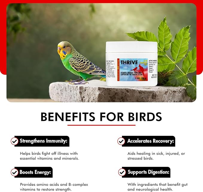 Morning Bird Thrive Nutritious Energy Supplement with Minerals, Vitamins, Amino Acids, Electrolytes, and Protein 1 oz