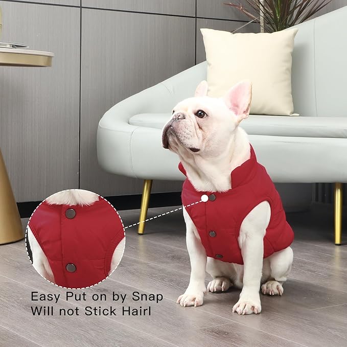 2 Layers Fleece Lined Warm Dog Jacket for Puppy Winter Cold Weather,Soft Windproof Small Dog Coat,Red M