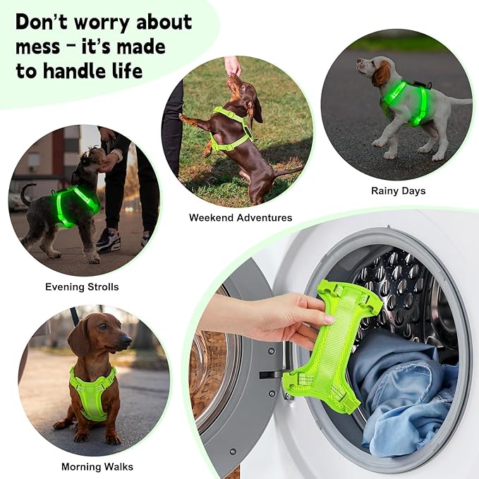 Rechargeable Light Up Dog Harness for Small Dogs – Adjustable LED Dog Vest with Reflective Strips, No Pull Glow in The Dark Puppy Harness for Night Walking Safety-Green