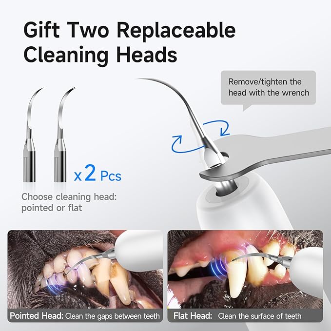 Electric Dog Plaque & Tartar Remover - Pet Teeth Cleaning Kit with 5 Adjustable Modes, LED Light, Safe and Low Noise – Easy at Home Dental Care for Dogs and Cats