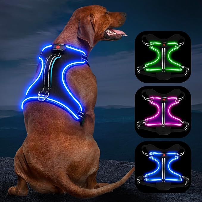 Light Up Dog Harness, No Pull LED Dog Harness with Handle, Rechargeable Lighted Safety Vest for Small Medium Large Dogs, Adjustable Soft Dog Lights for Night Walking