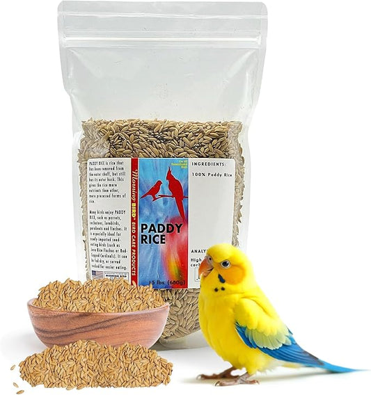 Morning Bird Paddy Rice 1.5 lbs Bird Seed for Optimal Health & Nutritious Pet Bird Food – Supports Feathers & Immunity – Ideal for All Seed Eating Birds.