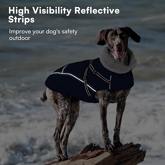 Queenmore Waterproof Dog Coat for Small Dogs,Reflective Windproof Dog Jackets with Built-in Harness,Dog Winter Coats with Zipper On Back,Warm Snowsuit with Fleece Lining,Navy Blue,S