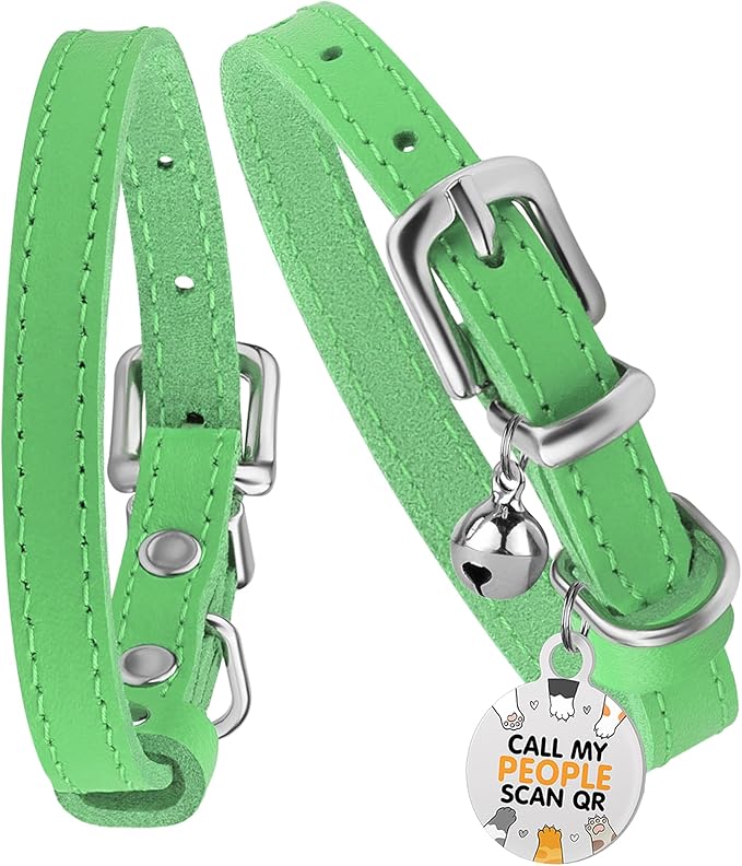 BRONZEDOG Leather Cat Collar with Removable Bells Non Breakaway Kitten QR Tag for Girl Boy (9" - 12" Cats/Mini Dogs, Green & Silver)