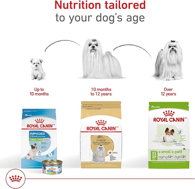 Royal Canin Maltese Adult Dry Dog Food, 10 lb bag