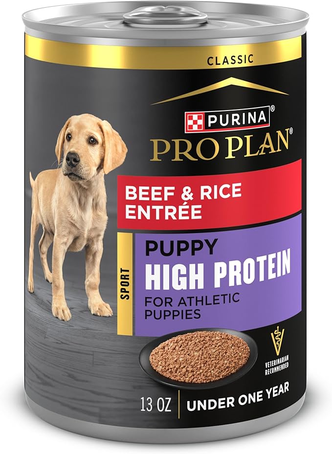 Purina Pro Plan Sport High Protein Puppy Food Beef & Rice Entree Wet Formula - (Pack of 12) 13 oz. Cans