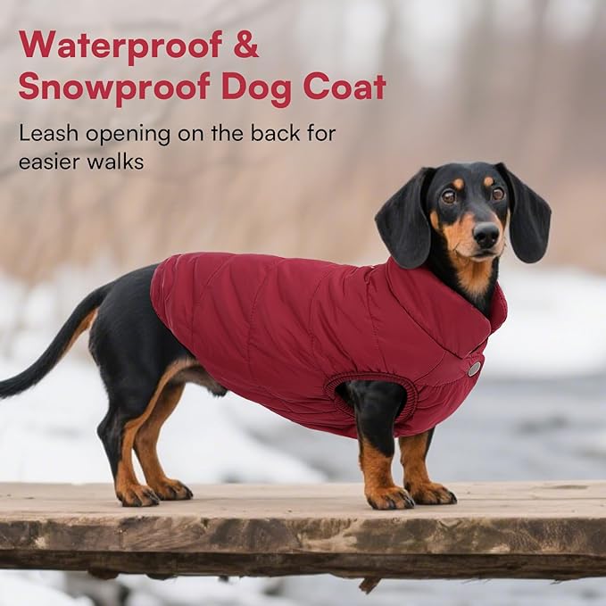 ASENKU Dog Winter Coat - Waterproof Windproof Dog Jacket, Warm Snowproof Doggie Puffer Vest for Cold Weather, Lightweight Snow Coats for Small Medium Large Dogs(L, Red)
