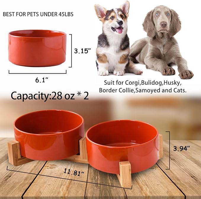 Petygooing Ceramic Cat Dog Bowl Set with Stand,Pet Food and Water Dishes,Medium Dog Bowls Anti -Slip Set of 2 Cat Dish Pet Food Bowls- Small Medium Size Pet (28OZ/6.1 in) Rust Red