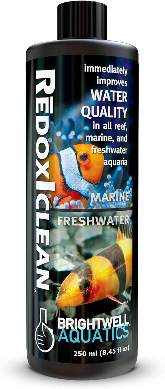 Brightwell Aquatics RedoxIclean Organic Waste Cleaner and Redox Enhancer Improves Water Clarity Filtration and Breakdown in Freshwater Marine Aquariums, 250 ml