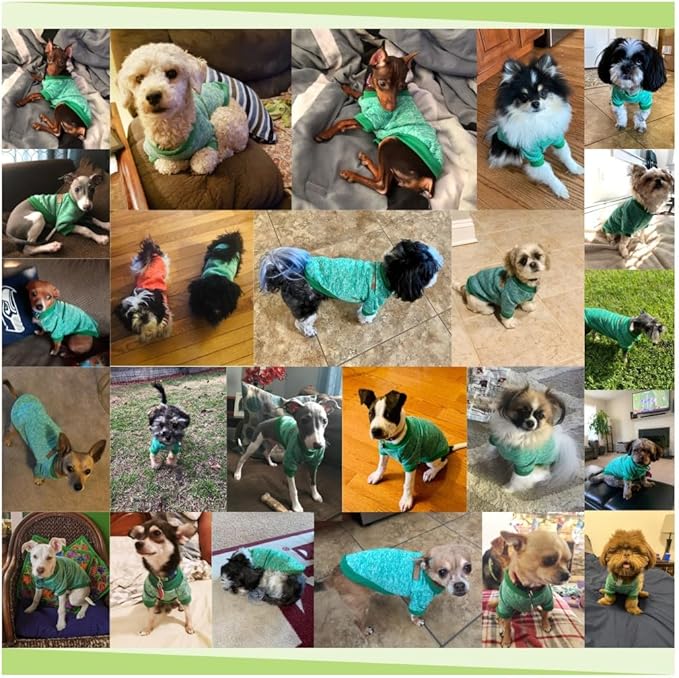 Jecikelon Dog Clothes Dogs Sweater Soft Puppies Clothing Winter Puppy Sweaters Warm Outfit for Dogs Small XXS XS Cat Apparel (Large, Green)
