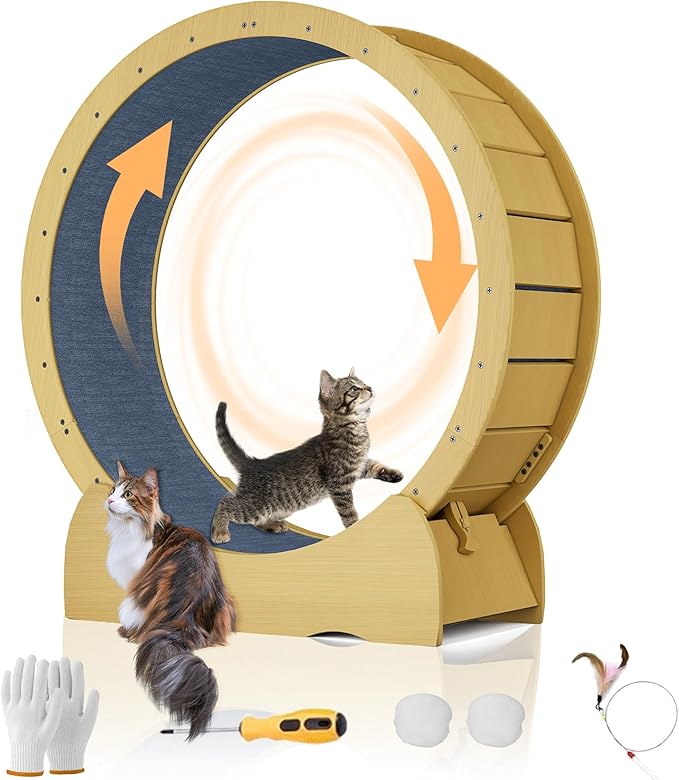 45 Inch Cat Exercise Wheel, Large Cat Wheel for Indoor Cats with Detachable Carpet & Toy, for Running/Walking/Training, Suitable for Most Cats