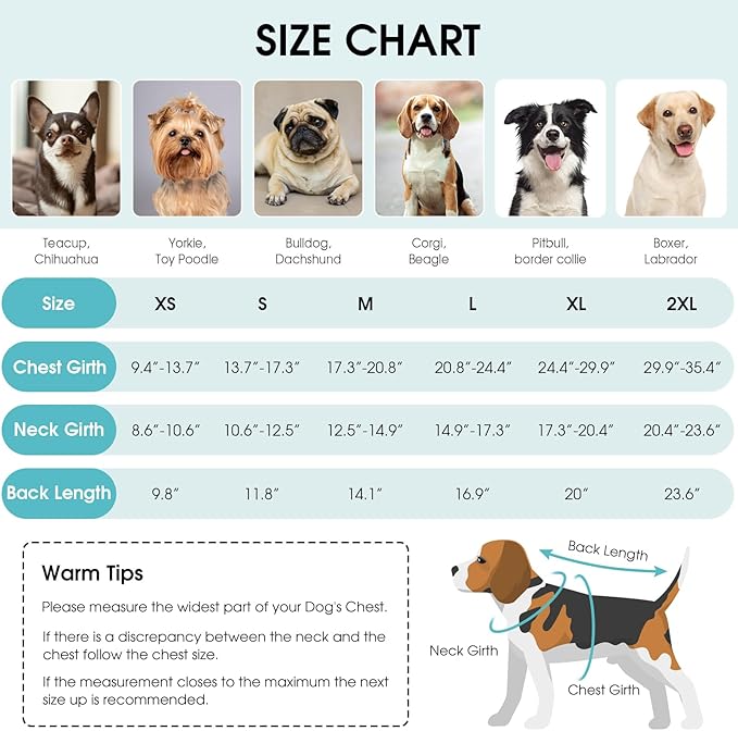 Queenmore Dog Winter Coat, Fleece Puffer Dog Down Vest, Cold Weather Pet Jacket for Dogs, Waterproof Reflective Reversible Dog Sweater Clothes for Small, Medium and Large Dogs (Light Blue, L)