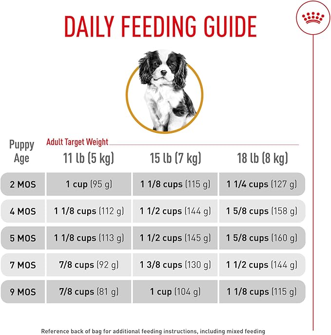 Royal Canin Breed Health Nutrition Cavalier King Charles Spaniel Puppy Dry Dog Food, 3 lb Bag
