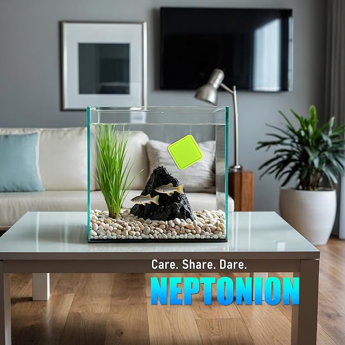 Magnetic Aquarium Fish Tank Glass Algae Scrapers Glass Cleaner Scrubber Clean [Compact, Scratch-Free, Non-Slip, Emhanced Magnet]