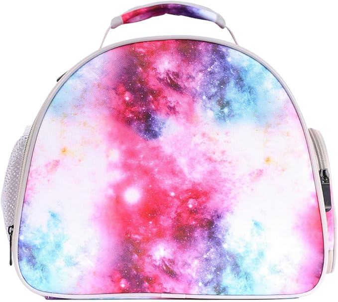 Guinea Pig Carrier Cage for 2, Bearded Dragon Travel Carrier for Small Animal Hamster Birds, Portable with Clear Window Transparent View Vet Bag (Carrier - Pink)