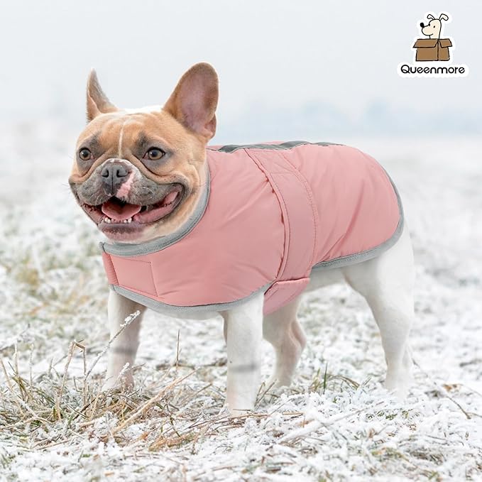 Queenmore Winter Coat, Fleece Puffer Down Vest, Cold Weather Pet Jacket, Waterproof Reflective Reversible Sweater Clothes for Small, Medium and Large Dogs (Light Pink, XL)