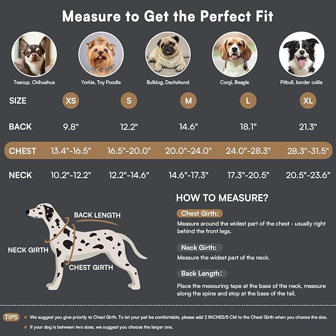 Queenmore Dog Winter Coat Warm Puffer Jacket Waterproof Plush Lining Thermal Cold Weather Vest for Small Medium Large Dogs, Windproof Easy On Pet Jacket Yellow S