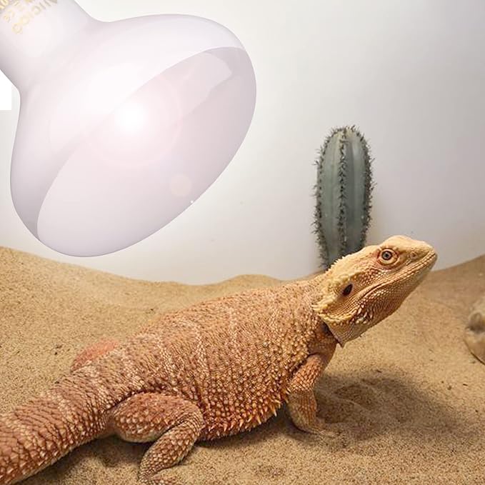 Aiicioo Reptile Basking Light Bulb - 75W Reptile Heat Lamp 2 Pack UVA Daylight Amphibians Basking Bulb for Bearded Dragon Turtle Hermit Crab Gecko Lizard Daylight