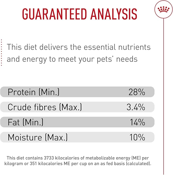 Royal Canin Jack Russell Terrier Adult Dry Dog Food, 10 lb bag