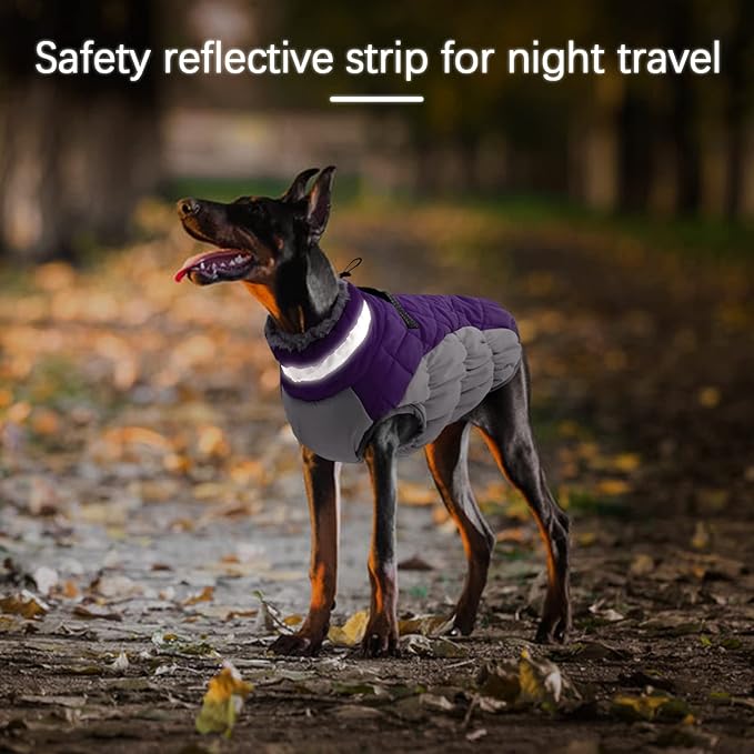 Large Dog Coat, XXLarge Dog Winter Coat, Waterproof Pet Jacket with Back Zipper,Extra Large Pet Coats, Warm Fleece Jacket with D-Ring, Windproof Winter Clothes Golden Retriever,Purple,XXL