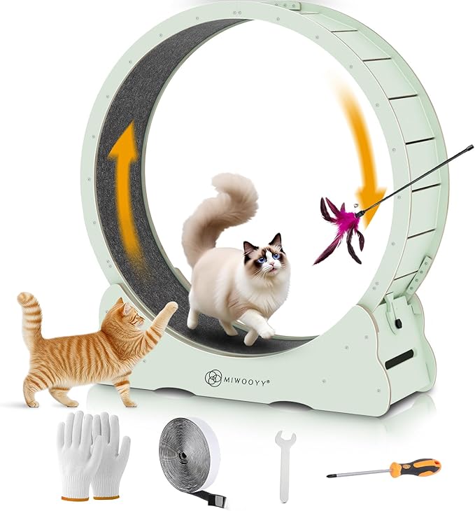 Large Cat Exercise Wheel 43 Inch - Mint Green Solid Wood Exerciser for Indoor Cats, Safety Treadmill with Lock & Minimized Gap Design