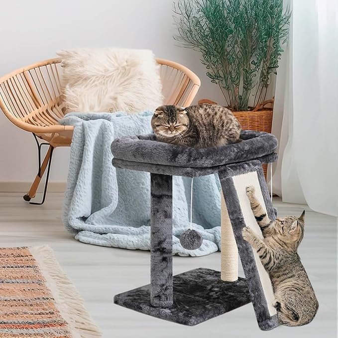 SYANDLVY Small Cat Tree with Perch, Cat Scratching Board for Indoor Cats, Scratching Post with 2 Dangling Balls, Great for Kittens (Smoky Grey)