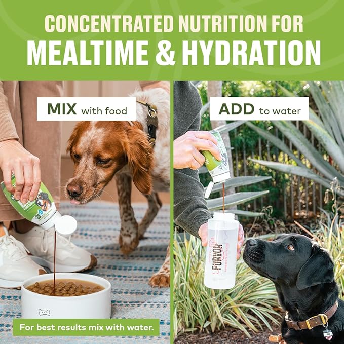 Beef Mobility Support Bone Broth Concentrate for Dogs - Collagen Protein Supplement - Boosted w/Amino Acids, Glucosamine, and Chondroitin - Dog Food Topper - Human Grade (16 oz, 30 Servings)