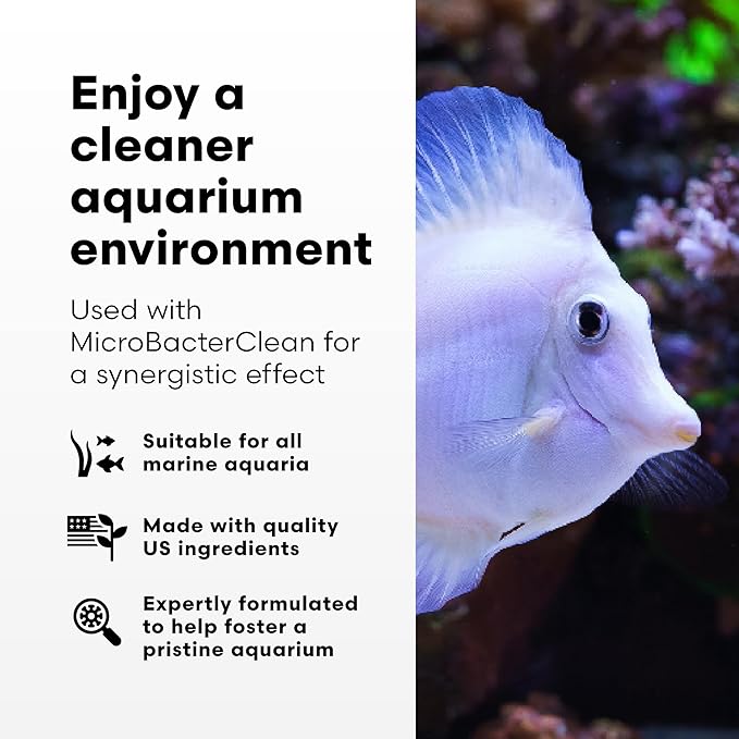 Brightwell Aquatics - Razor Marine - Unique Systemic Fish Tank Cleaner for Marine Aquariums - Aquarium Water Treatments, 16.9 fl oz